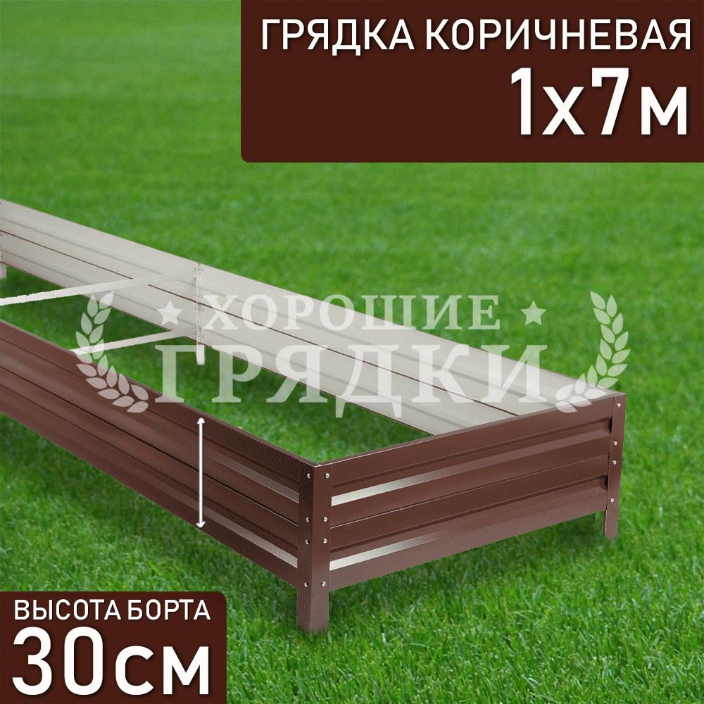 Коричневая-30-1-7